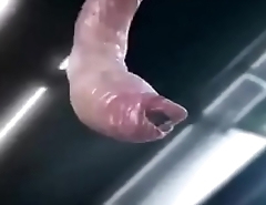 3d monster fuck a big tits being fucked hard by aa alien